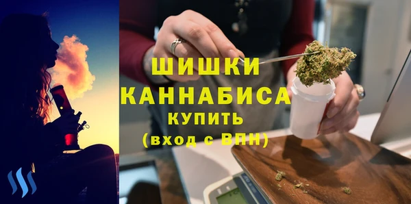 шишки Нягань